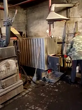 MityaXLoves online show from 11-24-25, 06:19