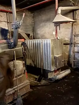 MityaXLoves online show from 01-11-26, 06:42