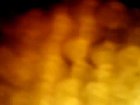 puak6666 online show from 04-05-26, 05:47