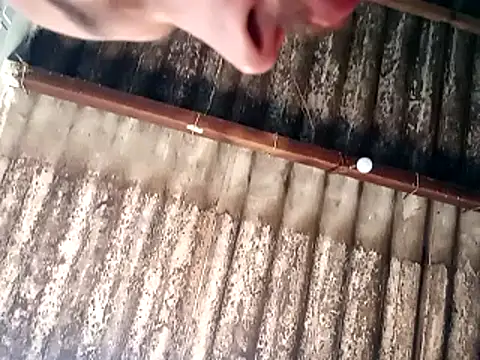 Snapshot of jhonwins01 chatting on 11-19-25, 02:39 jhonwins01 online show from 11-19-25, 02:39