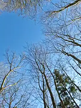 Snapshot of LydiaMaus96 chatting on 02-18-25, 01:11 LydiaMaus96 online show from 02-18-25, 01:11