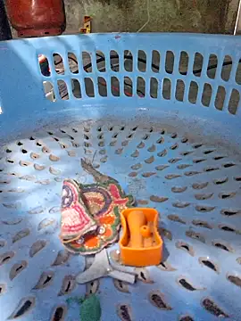 Priya Bong online show from 12-16-25, 02:27