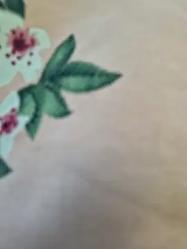 Priya Bong online show from 03-10-26, 02:59