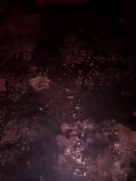 Priya Bong online show from 12-20-25, 11:51