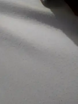  Miaaleon online show from 11-16-25, 10:42