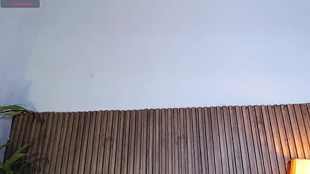 DilanJonnes  online show from 01-12-26, 11:42