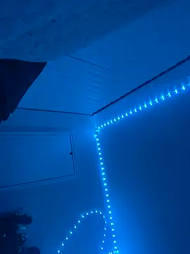 BBW2320 online show from 11-06-25, 05:11