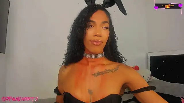 turabbitxx online show from 10-31-25, 04:53