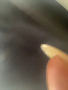 DarianaGuzz online show from 10-31-25, 10:16