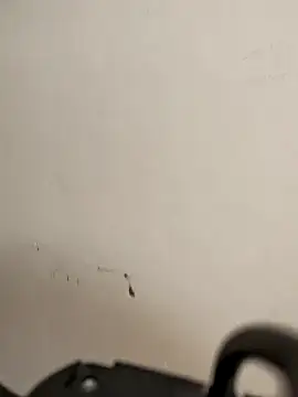 AvaLloyd online show from 02-20-26, 06:19