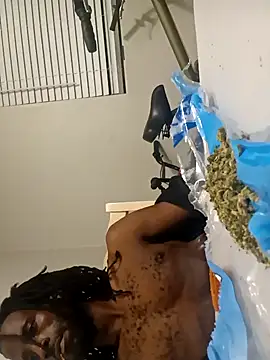 razzynolight online show from 11-15-25, 10:30