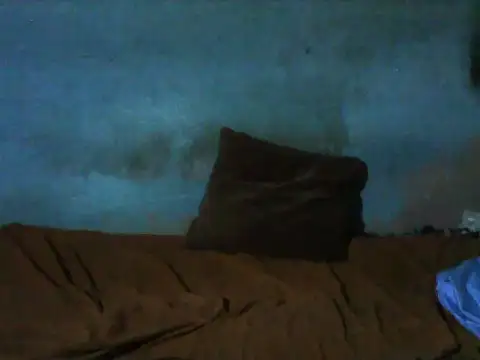 little  joy online show from 12-16-25, 11:31