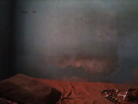 little  joy online show from 11-05-25, 01:47