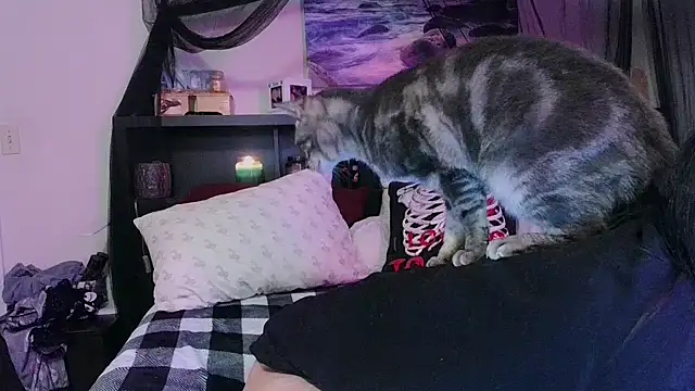 CrystalLakeXO online show from 01-17-26, 08:07