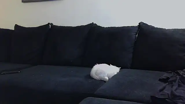 CrystalLakeXO online show from 10-23-25, 04:55