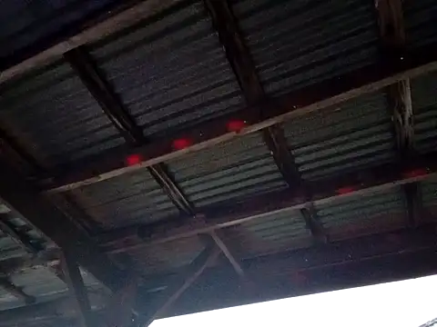 Snapshot of Xoc8_ chatting on 12-01-25, 11:05 Xoc8 online show from 12-01-25, 11:05