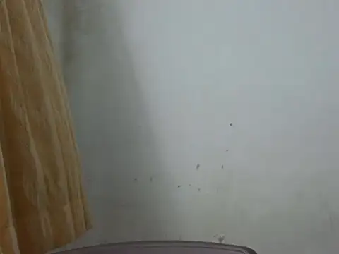 cutelady65 online show from 08-07-26, 03:18