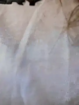 Dani javi online show from 04-10-26, 07:43