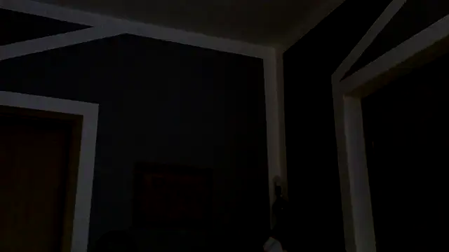 donhulio482 online show from 03-11-25, 02:10