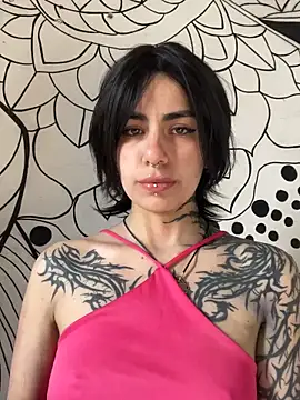  Artemisa X online show from 04-07-26, 12:40