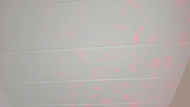 Snapshot of party-naugthysex chatting on 02-12-25, 06:08 party-naugthysex online show from 02-12-25, 06:08