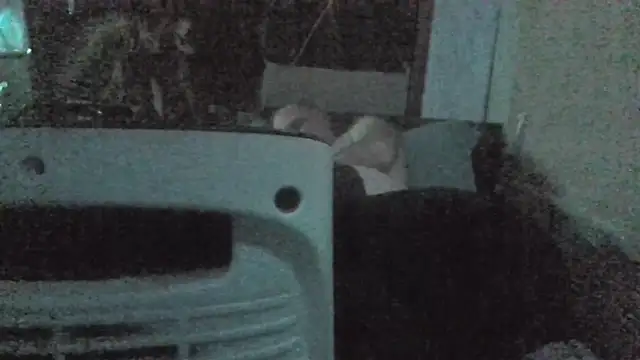 jaxx12369 online show from 02-22-26, 07:04