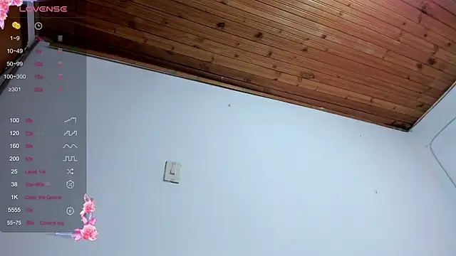 liz 25b online show from 07-24-26, 04:08
