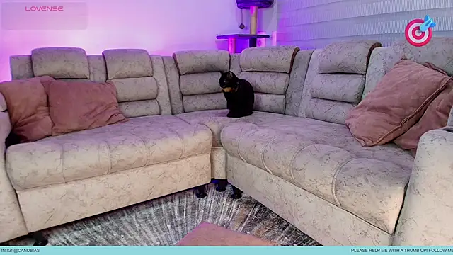 Niico Cruz online show from 09-14-25, 05:30