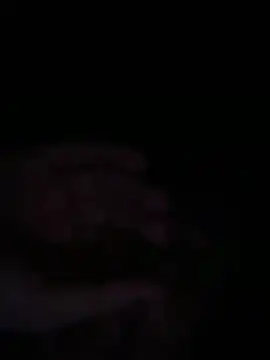 bob petterson online show from 12-23-25, 06:12