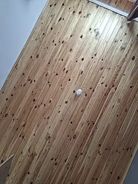 Snapshot of unicka65 chatting on 02-02-26, 11:09 unicka65 online show from 02-02-26, 11:09