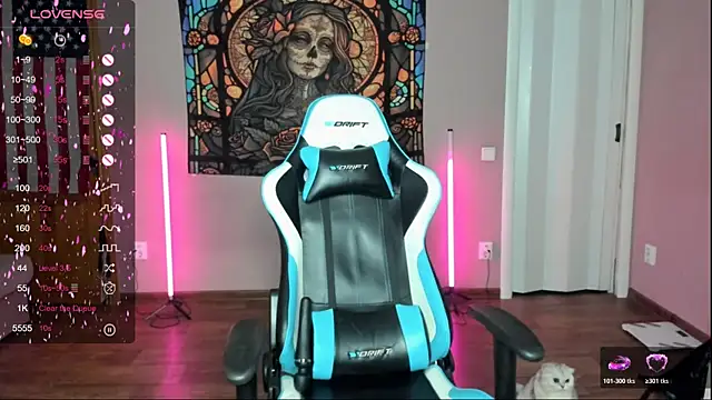 Project hisoka online show from 11-22-25, 03:38