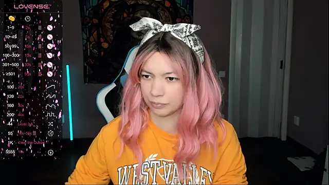 Project hisoka online show from 11-14-25, 11:25