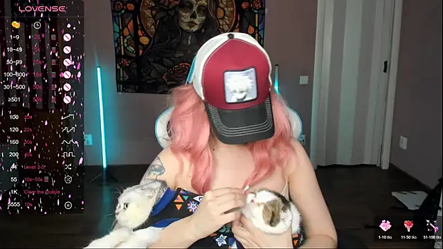 Project hisoka online show from 11-06-25, 04:05