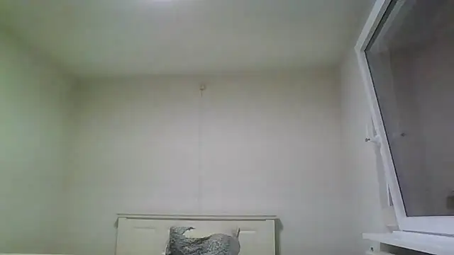 Wesleymodel online show from 02-10-26, 07:24