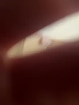 Kemenyfasz93 online show from 03-09-25, 12:42