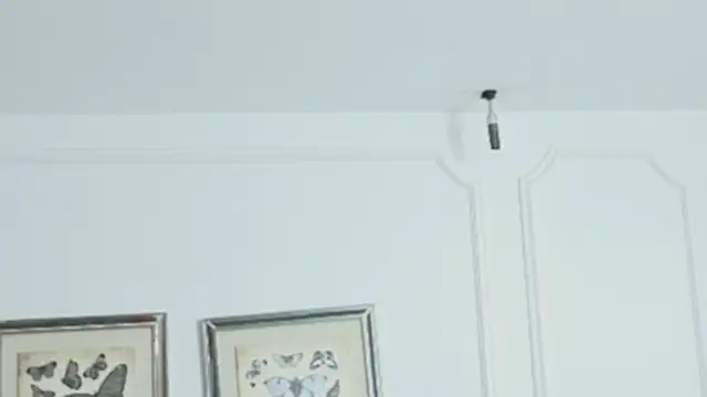 KimberlyCutee online show from 07-18-26, 08:06