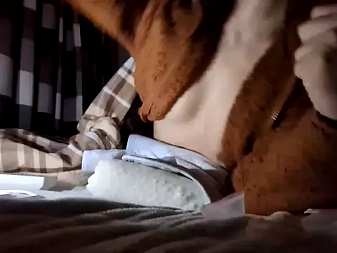 pnp0Japan online show from 01-11-25, 07:59