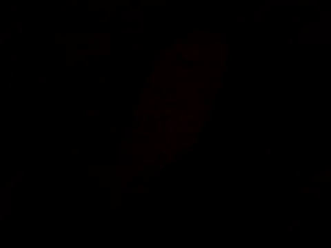 pnp0Japan online show from 02-18-25, 04:47