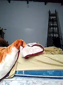 Chatlitos4879 online show from 04-13-26, 10:52