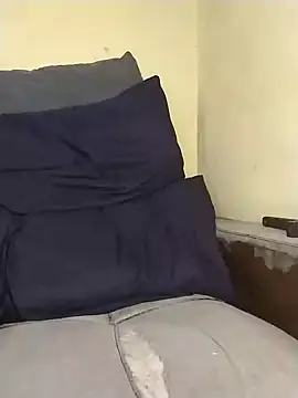 Stallion100 online show from 01-29-25, 09:23