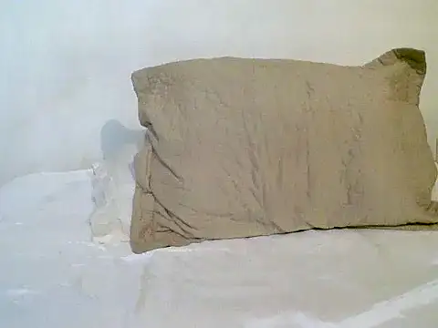 Snapshot of pollarikaaa chatting on 11-01-25, 11:42 pollarikaaa online show from 11-01-25, 11:42