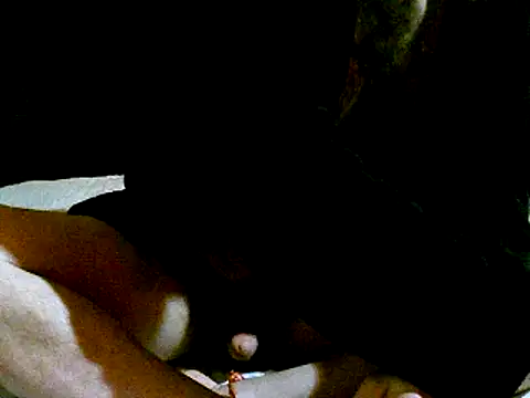 Snapshot of pollarikaaa chatting on 01-03-25, 03:16 pollarikaaa online show from 01-03-25, 03:16