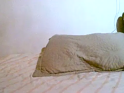 Snapshot of pollarikaaa chatting on 03-07-25, 02:15 pollarikaaa online show from 03-07-25, 02:15