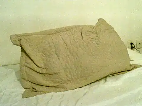 pollarikaaa online show from 11-06-25, 10:58