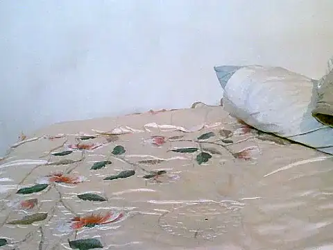 Snapshot of pollarikaaa chatting on 09-20-25, 02:38 pollarikaaa online show from 09-20-25, 02:38