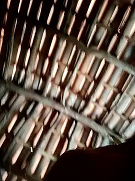 Snapshot of luissilva0071 chatting on 03-23-26, 02:17 luissilva0071 online show from 03-23-26, 02:17
