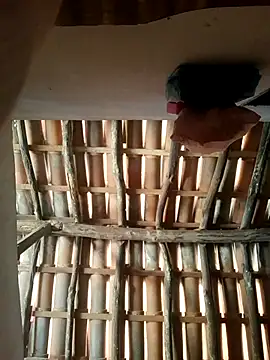 luissilva0071 online show from 02-24-26, 12:28