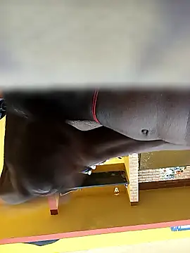 Tamil boy age28 online show from 01-12-26, 03:35