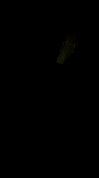 Snapshot of Tamil_boy_age28 chatting on 02-17-25, 08:06 Tamil boy age28 online show from 02-17-25, 08:06