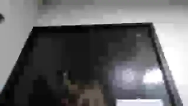 mmmVirginia online show from 03-24-26, 02:55